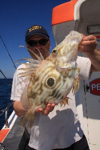 [Record John Dory]